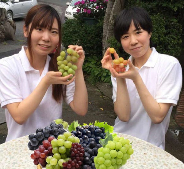 【愛媛県内発】 岡山産ぶどう5種食べ放題とマスカット狩り 日帰り2